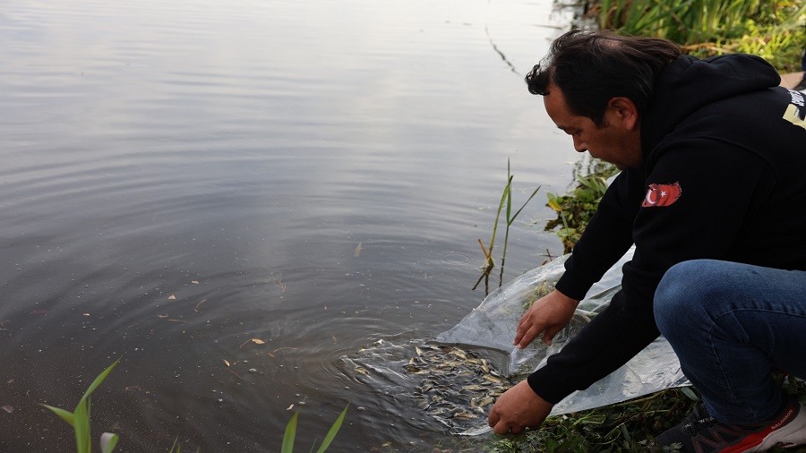 5 BN AYNALI SAZAN DOAYA SALINDI