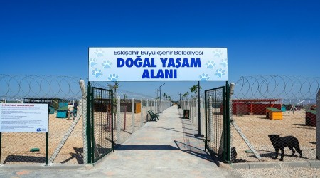 ESKEHR'DE DOAL YAAM ALANI AILDI