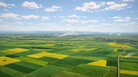 ALPU OVASI�NDA B�R HUKUK ZAFER� DAHA