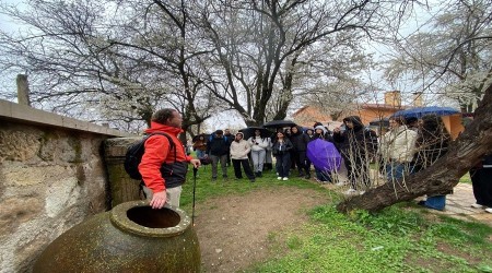 GEN�LER FR�G VAD�S�NE G�TT�LER