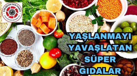 YA�LANMAYI YAVA�LATAN GIDALAR 