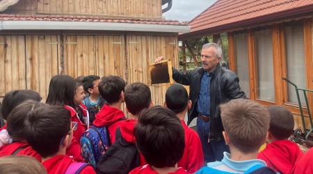 ÇOCUKLAR ARILARI YAKINDAN TANIDI