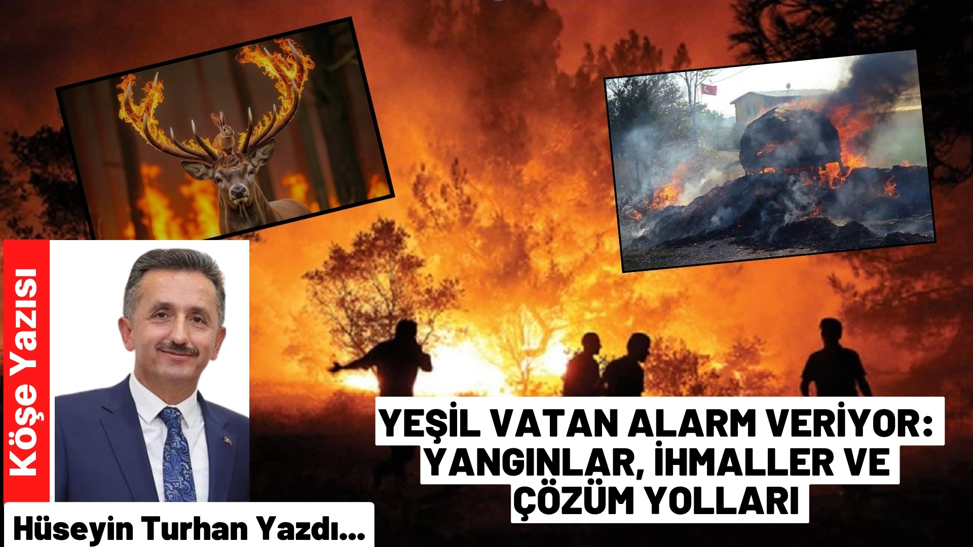 Yeil Vatan Alarm Veriyor:  Yangnlar, hmaller ve zm Yollar