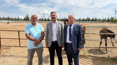 CHP İL BAŞKANI YALAZ ATÇILIK VE BİNİCİLİK SORUNLARINI DİLE GETİRDİ