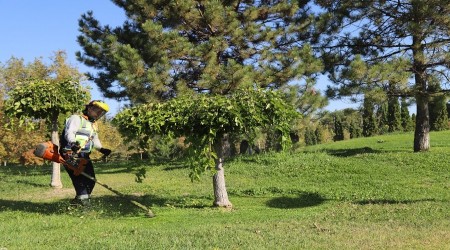 ESKEHR'DE BUDAMA ALIMALARI HIZ KESMEDEN SRYOR