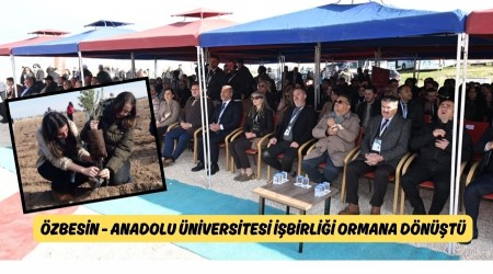 ESKEHR'DE K RNEK  BRL ORMANA DNT