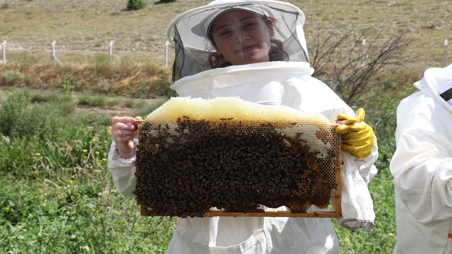 Odunpazar� Belediyesi: "Ar�k�y kay�tlar� ba�l�yor"