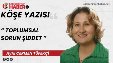 TOPLUMSAL SORUN "��DDET"