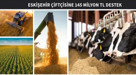ESKEHR FTSNE 145 MLYON TL DESTEK