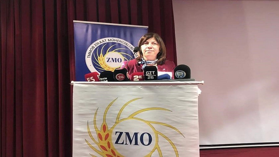 Z�RAAT��LERDE SELMA G�DER G�VEN TAZELED�