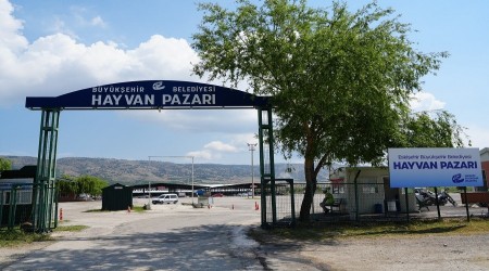 BAKANLIKA KAPATILAN HAYVAN PAZARI YENDEN AILDI