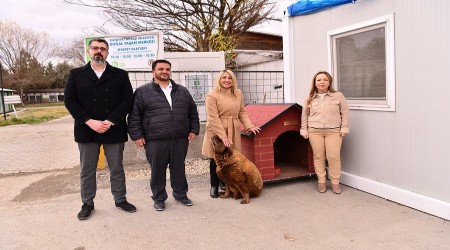 PATL DOSTLARA KULBE BAII