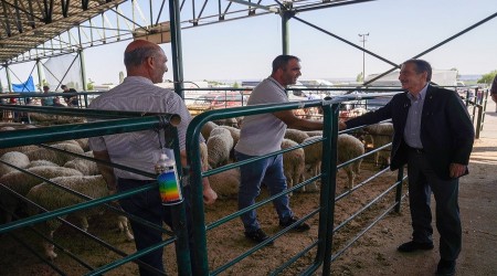 ATAÇ KURBAN PAZARINI ZİYARET ETTİ