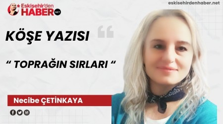 TOPRAIN SIRLARI