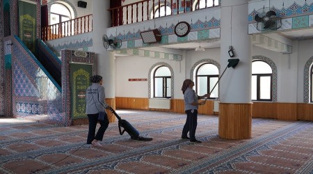TEPEBAINDA CAMLER PIRIL PIRIL OLUYOR