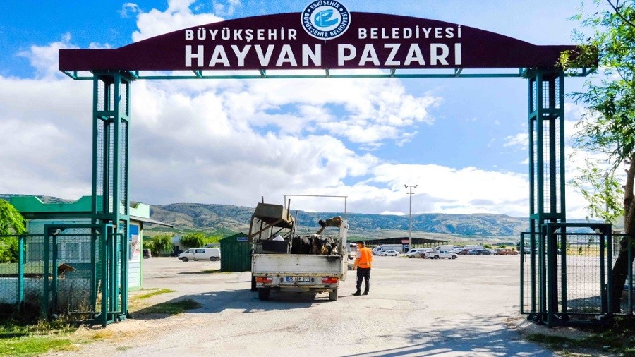 HAYVAN PAZARI N YER SATILARI BALIYOR