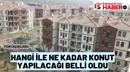 TOK AIKLADI:HANG LE NE KADAR KONUT